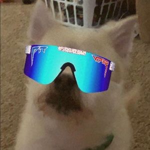 Meet your Posher, Jacob